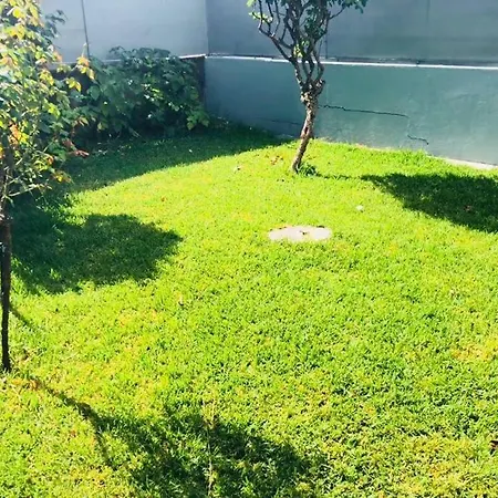 Nice, Quiet And Confortable Appartement Braga